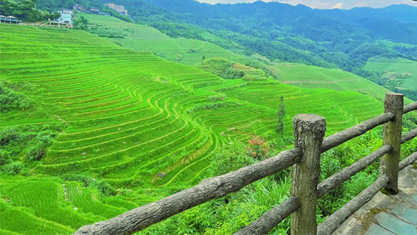 桂林旅游最佳时间是几月龙脊梯田最好看