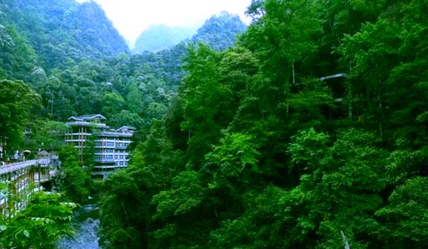 桂林的国家公园是极具特色的旅游胜地,森林植被以马尾松纯林为主